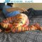Tigress in “Chasing Sleep” from Sleepy Superheroines