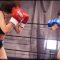 BBFP-01 Boxing Premium Fight 1